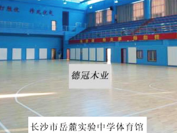 长沙市岳麓实验中学体育馆